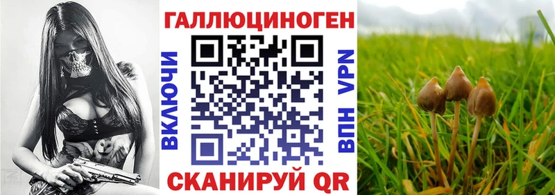 Галлюциногенные грибы Magic Shrooms Кострома