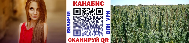 Марихуана OG Kush  купить наркотики цена  Кострома 